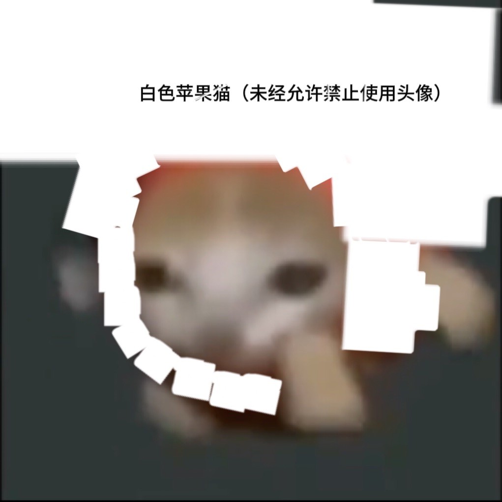 普通苹果猫-松纸工作室博客