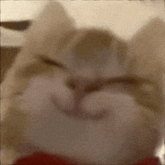 邓腾渊的头像-松纸工作室博客