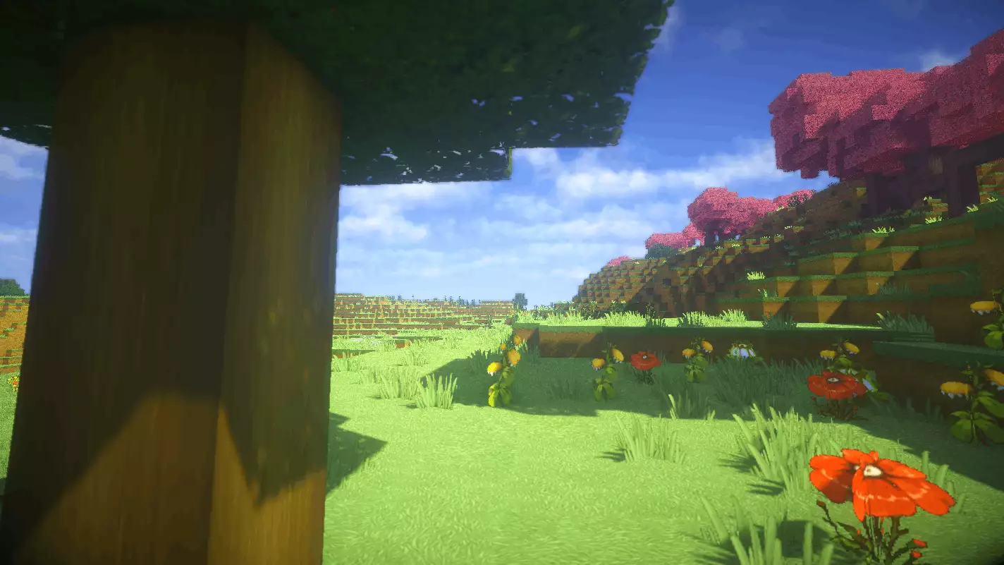 松纸工作室博客